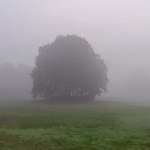 Menno 04 Goffertpark